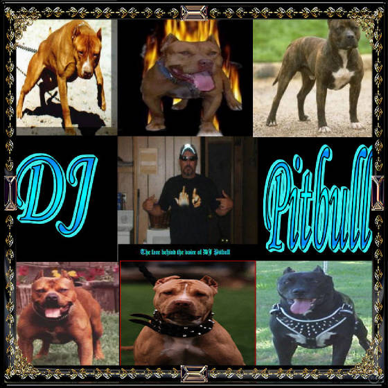 djpitbull.jpg