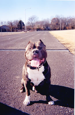 10_scan0022_lg.jpg
