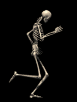 bones.gif